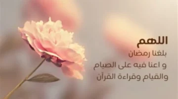 أدعية ليلة 18 رمضان تفتح أبواب الفضل وتجلب البركات لقلبك وبيتك